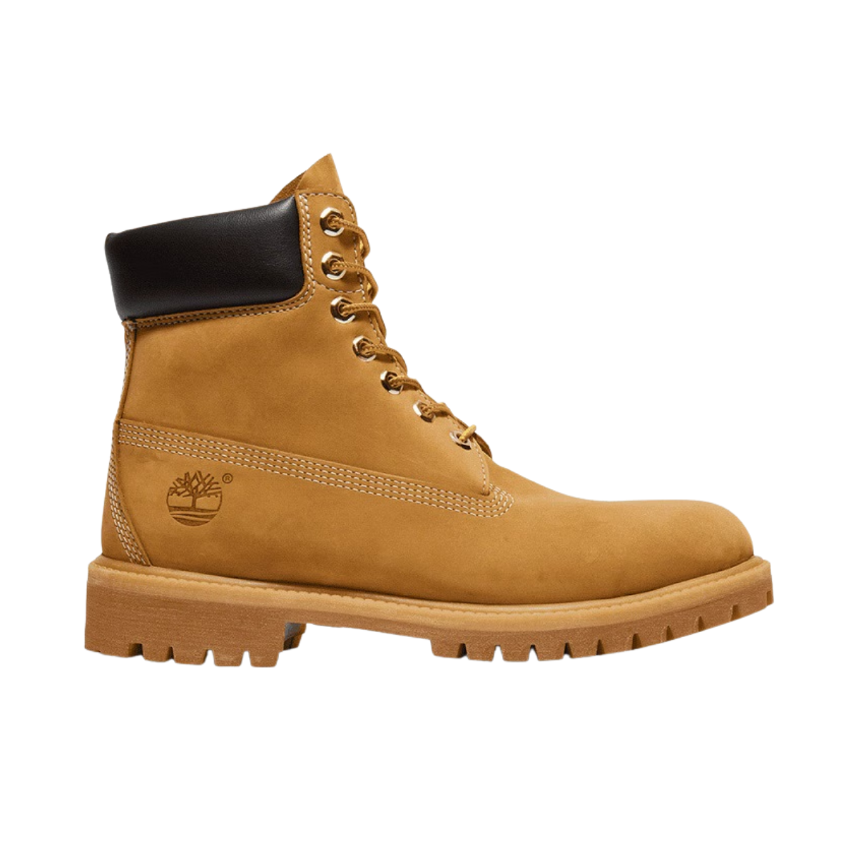 Shoes M T10073 64
