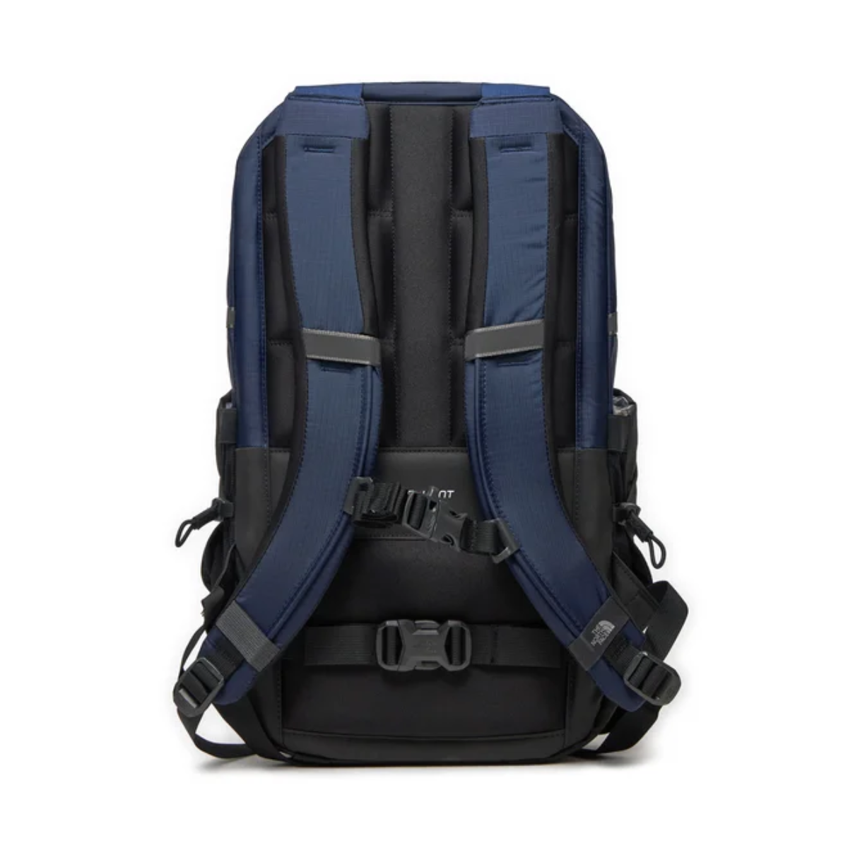 Borealis 61