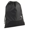 PUMA teamGOAL Gym Sack
