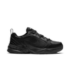 AIR MONARCH IV