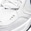 AIR MONARCH IV