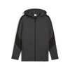 PUMA EVOSTRIPE Core FZ Hoodie