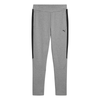 PUMA EVOSTRIPE CORE Pants