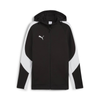 PUMA teamEVOSTRIPE Hooded Jacket