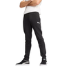 PUMA teamEVOSTRIPE Pants