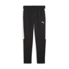 PUMA teamEVOSTRIPE Pants