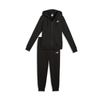 PUMA Hooded Sweat Suit Full-Zip FL cl