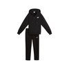 PUMA Metallic Hooded Standard Sweat Suit FL op