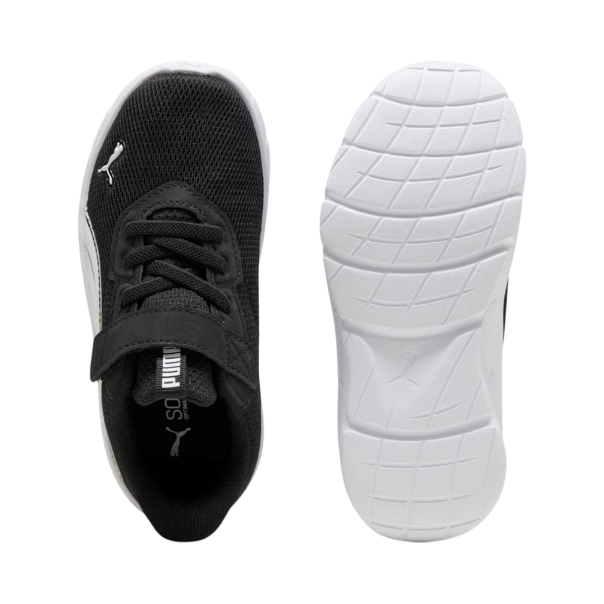 Puma FlexFocus Modern AC+ PS