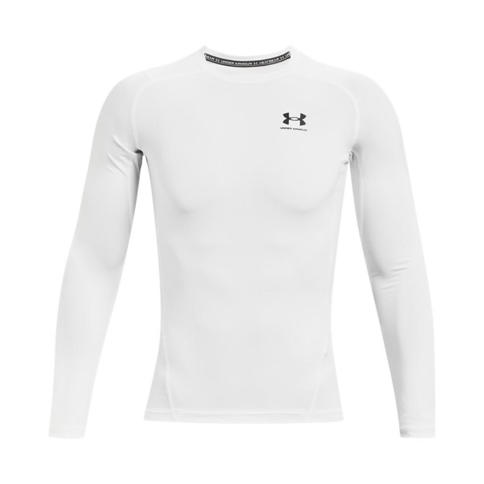 UA HG Armour Comp LS